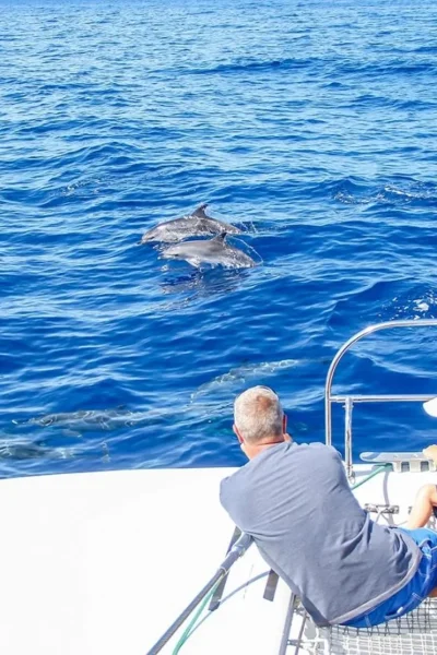 A man with his childern watching dolphins in a Catamaran a VMT Madeira experience.