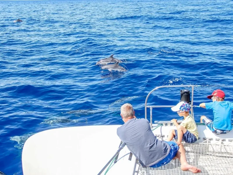 A man with his childern watching dolphins in a Catamaran a VMT Madeira experience.