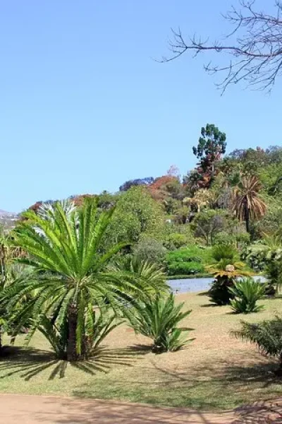 Private Botanical Garden Tour
