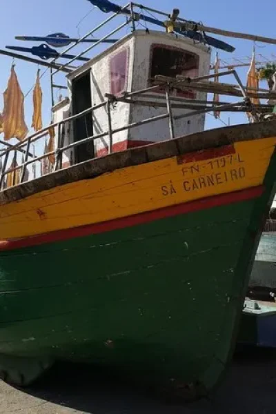 The dry docks of CÃmara de Lobos