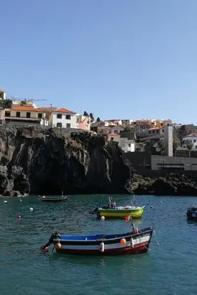 Private Câmara de Lobos Fishing Village Tour