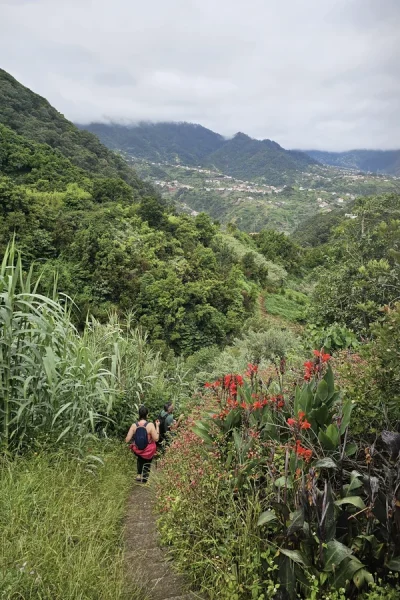 eversoul-referta-to-castelejo-half-day-levada-madeiras-easiest-levada-through-wo-1