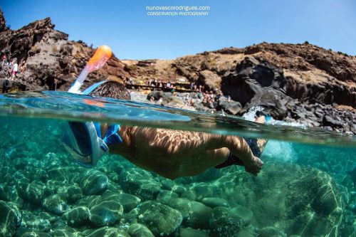 Snorkeler gliding over the rocky seabed in crystal-clear turquoise water at Ponta de São Lourenço, with volcanic cliffs and sunbathers on the shore under a bright blue sky.