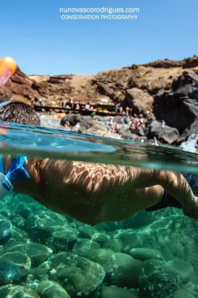 scorpio-madeira-snorkeling-trip-by-boat-30