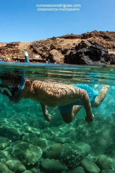 scorpio-madeira-snorkeling-trip-by-boat-31