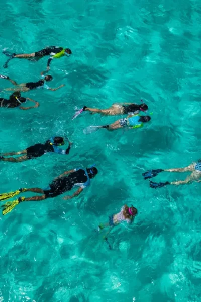 scorpio-madeira-snorkeling-experience-by-shore-32