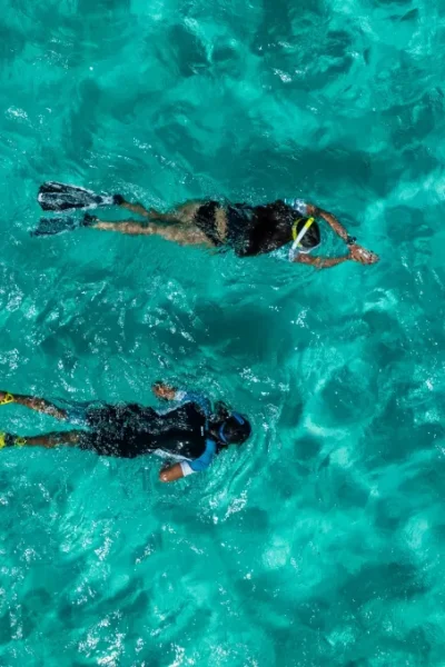 scorpio-madeira-snorkeling-experience-by-shore-33