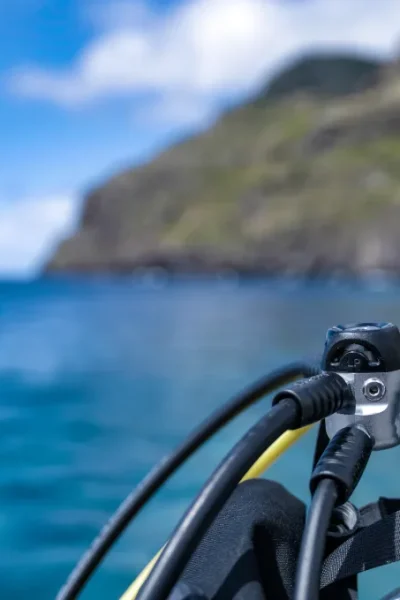 scorpio-madeira-try-scuba-diving-35
