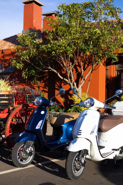 Two Vespa scooters,a blue one and a white one by Vespa Madeira Scooter Rent parked beside a traditional red-wheeled cart, surrounded by lush tropical plants and flowers in Madeira. The type of scooter offered for rent to explore the Madeira island’s winding mountain roads and scenic viewpoints by Vespa Madeira Scooter Rent.