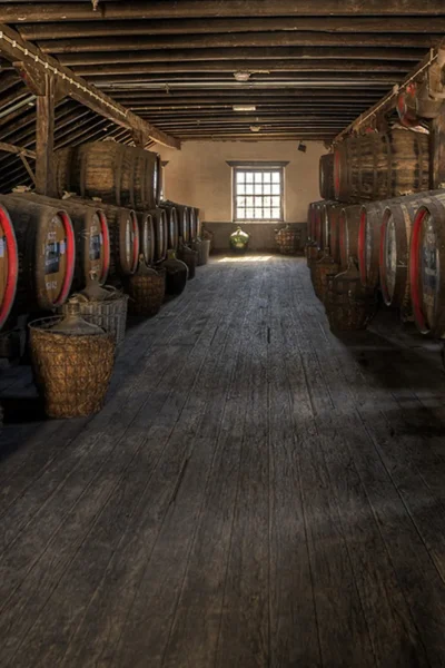 Long aisle of wooden wine barrels with red rims in rustic Madeira winery cellar, an experience by Wine Tours Madeira