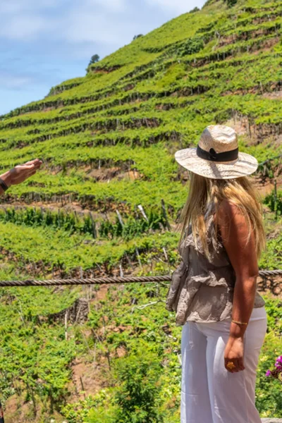 Tourists pointing at terraced green vineyards on sunny Madeira hillside, an experience by Wine Tours Madeira