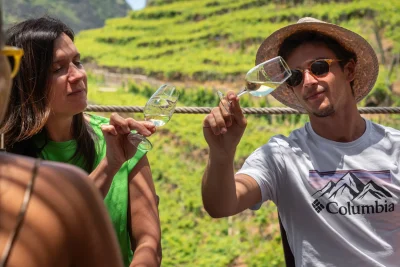 Smiling man and woman toasting white wine glasses with terraced vineyards behind, an experience by Wine Tours Madeira