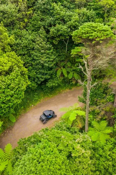 Funduras buggy tour through the Laurissilva forest, Madeira