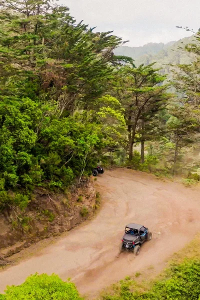 Funduras buggy tour through the Laurissilva forest, Madeira