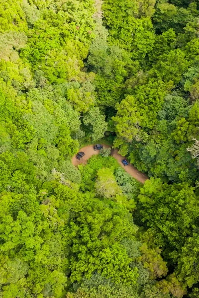 Funduras buggy tour through the Laurissilva forest, Madeira