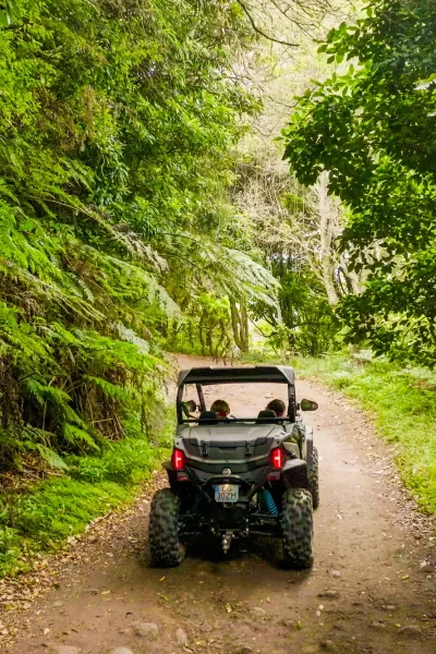 Funduras buggy tour through the Laurissilva forest, Madeira