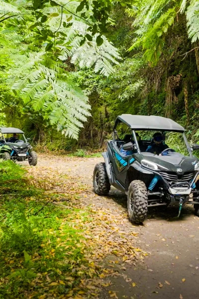 Funduras buggy tour through the Laurissilva forest, Madeira