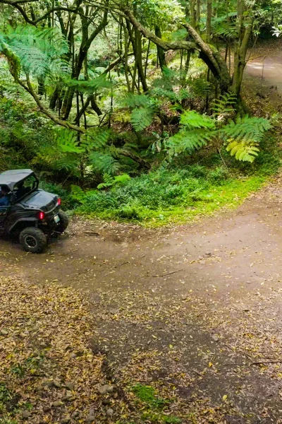 Funduras buggy tour through the Laurissilva forest, Madeira