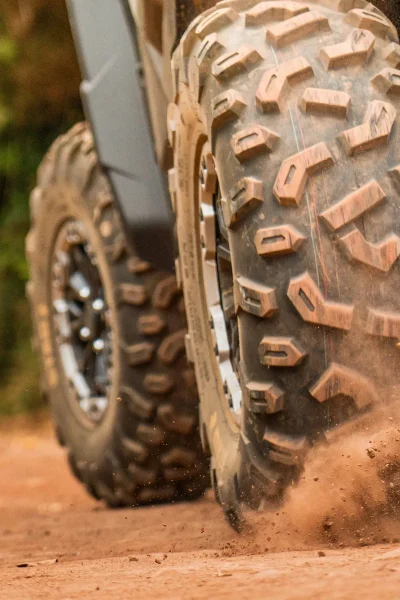 Funduras buggy tour through the Laurissilva forest, Madeira