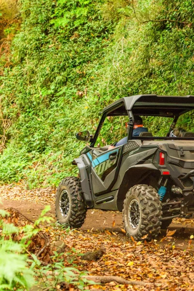 Funduras buggy tour through the Laurissilva forest, Madeira