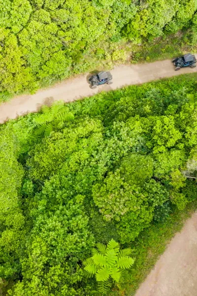 Funduras buggy tour through the Laurissilva forest, Madeira