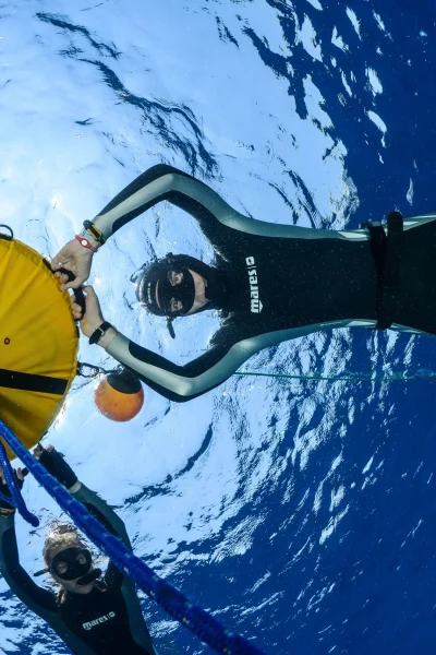 Group of Freedivers holding on to a yellow floating device in a freediving course in Madeira, an experience by Scorpio Madeira