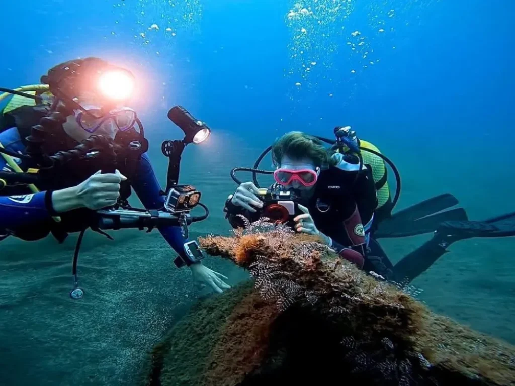 2 Scuba divers with cameras watching a fish underwater in a diving experience by Scorpio Madeira