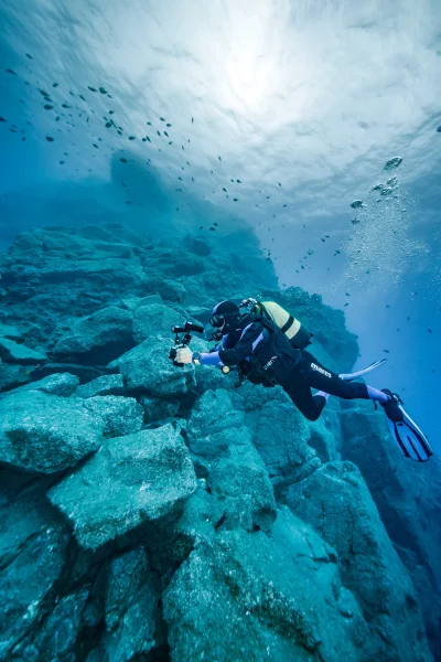 Diver swimming underwater near an underwater cliff in a Madeira Full Day Dive Pack experience by scorpio madeira